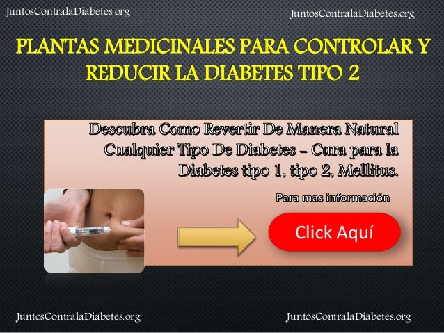 Plantas Medicinales Para Controlar Y Reducir La Diabetes Tipo 2