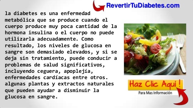Plantas Medicinales Para La Diabetes ! La Mejor Opción Plantas Medicinales Para La Diabetes ! La Mejor Opción