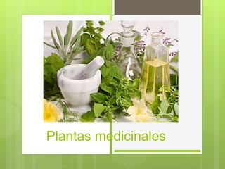 Plantas medicinales
 