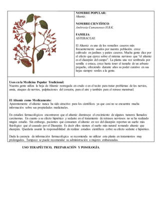 NOMBREPOPULAR:
Altamiz.
NOMBRECIENTÍFICO:
Ambrosia Cumanenses H.B.K.
FAMILIA:
ASTERACEAE
El Altamiz es uno de los remedios caseros más
frecuentemente usados por nuestra población. crece
cultivado en jardines y patios caseros. Mucha gente dice por
el efecto que ejerce sobre el sistema nervioso que “el altamiz
es el diazepán del campo”. La planta una vez sembrada por
semilla o estaca, crece hasta tener el tamaño de un arbusto
pequeño, ofreciendo durante años su poder curativo en sus
hojas siempre verdes a la gente.
Usos en la Medicina Popular Tradicional:
Nuestra gente utiliza la hoja de Altamiz restregada en crudo o en el tecito para tratar problemas de los nervios,
ansia, ataques de nervios, palpitaciones del corazón, para el aire y también para el retraso menstrual.
El Altamiz como Medicamento:
Aparentemente el altamiz nunca ha sido atractivo para los científicos ya que casi no se encuentra mucha
información sobre sus propiedades medicinales.
En estudios farmacológicos encontraron que el altamiz disminuye el crecimiento de algunos tumores llamados
carcinomas. En cuanto a su efecto hipnótico y sedante en el tratamiento de retrasos nerviosos no se ha realizado
ningún estudio. Sin embargo, pacientes que consumen el altamiz en vez del diazepán reportan un sueño más
fisiológico que el causado por el Diazepán. Es decir ellos sienten el sueño más natural tomando altamiz que
diazepán. Quedaría asumir la responsabilidad de realizar estudios científicos cobre su efecto sedante e hipnótico.
Dada la carencia de información farmacológica se recomienda no utilizar esta planta en tratamientos muy
prolongados. Tampoco se puede recomendar su administración a mujeres embarazadas.
USO TERAPÉUTICO, PREPARACIÓN Y POSOLOGÍA.
 