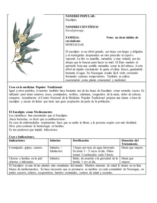 NOMBREPOPULAR:
Eucalipto.
NOMBRECIENTÍFICO:
Eucalyptusspp..
FAMILIA: Nota: no tiene hábito de
crecimiento
MYRTACEAE
El eucalipto es un árbol grande, sus hojas son largas y delgadas
y al restregarlas desprenden un olor parecido al cepol o
vaporub. La flor es amarilla, menudita y muy visitada por las
abejas que la buscan para hacer su miel. El fruto maduro al
apretarlo bota una semilla menudita como la del tabaco. A esta
árbol de rápido crecimiento le gusta el clima fresco, gustándole
bastante el agua. En Nicaragua resulta fácil verlo creciendo
formando cadenas rompevientos. También se cultiva
caseramente como planta ornamental y medicinal.
Usos en la medicina Popular Tradicional:
Igual a otros pueblos, el nuestro también hace bastante uso de las hojas de Eucalipto como remedio casero. Es
utilizado para tratar catarros, toses, constipados, resfríos, calentura, congestión de la nariz, dolor de cabeza,
ronquera. Actualmente el Centro Nacional de la Medicina Popular Tradicional prepara una tizana a base de
eucalipto y zacate de limón que tiene una gran aceptación de parte de la población.
El Eucalipto como Medicamento:
Los científicos han encontrado que el Eucalipto:
Ataca bacterias, es decir que es antibacteriano.
En caso de enfermedades respiratorias hace que se suelte la flema y la persona respire con más facilidad.
Sirve para contener la hemorragia en heridas.
Es tan poderoso que impide infecciones.
Usos e Indicaciones.
Indicaciones Infusión Dosificación Duración del
Tratamiento.
Constipado, gripes, catarro. Infusión /
Inhalación.
3 hojas por taza de agua hirviendo.
Se toma 3 – 5 veces al día. Niños
toman 3 cucharadas cada 3 horas.
Hasta que mejore.
Úlceras y heridas en la piel
abiertas e infectadas.
Infusión. Baño, de acuerdo a la gravedad de la
herida 1 vez al día.
Hasta que
mejore.
El Eucalipto es una de las plantas más estudiadas del mundo. Muchos sistemas de salud lo tienen en su lista
básica de medicamentos. Se hace necesario que se promueva su siembra en cada comunidad de Nicaragua, en
patios caseros, solares, cooperativas, huertos comunales, centros de salud y escuelas.
 