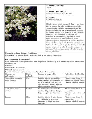 NOMBREPOPULAR:
Saúco.
NOMBRE CIENTÍFICO:
Sambucus mexicana Presl. Ex A.Dc.
FAMILIA:
CAPRIFOCIACEAE
El Saúco es un arbusto que puede llegar a una altura
de 2 a4 metros. Sus tallos son leñosos. Sus hojas
verdes son algo ovaladas, alargadas teniendo los
bordes aserrados. Lo que al hombre desde tiempos
ancestrales interesó en el Saúco es su flor y su fruto.
Las flores crecen en forma de estrellitas en
ramilletes de color blanco y expenden el aroma
típico del saúco. Sus frutos en todo el mundo
apreciados para la preparación de los más deliciosos
vinos y brebajes, siguen a la floración y forman unas
bolitas de color violeta-negro. En Nicaragua crece de
manera silvestre a la orilla de los ríos pequeños y
cascadas. También se encuentra cultivado en patios
caseros y jardines.
Usos en la medicina Popular Tradicional:
Comúnmente se usan sus flores y hojas para tratar la tos, catarros y calenturas.
Los Saúcos como Medicamento:
Se ha comprobado que el género saúco tiene propiedades sudoríficas y es un laxante muy suave. Sirve para el
tratamiento de:
Calenturas.
Enfermedades Respiratorias.
Debilidad General en el cuerpo.
Reumatismo (Fruto preparado como vino).Neuralgias (Nervio siático).
Síntomas y/o
enfermedad
Partes
utilizadas
Formas de preparación Aplicación y dosificación
Tos crónica, bronquitis,
fiebre, sinusitis
Flor Infusión: disolver un ramillete
fresco picadito, o 3 cucharadas de
flor seca, molida, en 1 taza con
agua hirviendo. Tapar y dejar en
reposo durante 5 minutos.
Adultos: tomar 1 taza 3
veces al día, durante 7 días.
Niños/as: mitad de la dosis.
Ácido úrico, como
diurético
Corteza Cocimiento: Cocer durante 10
minutos, 40 g, en 1 litro de agua.
Dejar en reposo por 5 minutos.
Adultos: tomar 1 taza 2
veces al día
Niños/as: según criterio del
naturista
Laxante Hoja Infusión: disolver 3 hojas frescas,
o 1 cucharada de hoja seca
trituradas, en 1 taza con agua
hirviendo.
Adultos: tomar 1 taza 3
veces al día.
Niños/as: mitad de la dosis.
 