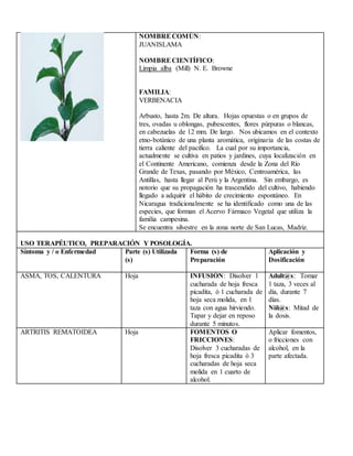 NOMBRECOMÚN:
JUANISLAMA
NOMBRECIENTÍFICO:
Limpia alba (Mill) N. E. Browne
FAMILIA:
VERBENACIA
Arbusto, hasta 2m. De altura. Hojas opuestas o en grupos de
tres, ovadas u oblongas, pubescentes, flores púrpuras o blancas,
en cabezuelas de 12 mm. De largo. Nos ubicamos en el contexto
etno-botánico de una planta aromática, originaria de las costas de
tierra caliente del pacifico. La cual por su importancia,
actualmente se cultiva en patios y jardines, cuya localización en
el Continente Americano, comienza desde la Zona del Río
Grande de Texas, pasando por México, Centroamérica, las
Antillas, hasta llegar al Perú y la Argentina. Sin embargo, es
notorio que su propagación ha trascendido del cultivo, habiendo
llegado a adquirir el hábito de crecimiento espontáneo. En
Nicaragua tradicionalmente se ha identificado como una de las
especies, que forman el Acervo Fármaco Vegetal que utiliza la
familia campesina.
Se encuentra silvestre en la zona norte de San Lucas, Madriz.
USO TERAPÉUTICO, PREPARACIÓN Y POSOLOGÍA.
Síntoma y / o Enfermedad Parte (s) Utilizada
(s)
Forma (s) de
Preparación
Aplicación y
Dosificación
ASMA, TOS, CALENTURA Hoja INFUSIÓN: Disolver 1
cucharada de hoja fresca
picadita, ó 1 cucharada de
hoja seca molida, en 1
taza con agua hirviendo.
Tapar y dejar en reposo
durante 5 minutos.
Adult@s: Tomar
1 taza, 3 veces al
día, durante 7
días.
Niñ@s: Mitad de
la dosis.
ARTRITIS REMATOIDEA Hoja FOMENTOS O
FRICCIONES:
Disolver 3 cucharadas de
hoja fresca picadita ò 3
cucharadas de hoja seca
molida en 1 cuarto de
alcohol.
Aplicar fomentos,
o fricciones con
alcohol, en la
parte afectada.
 