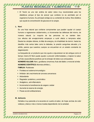 PLANTAS MEDICINALES Y ALIMENTICIAS
DANNY OSORIO PAZ Página 13
 El Yacón es una raíz andina de sabor dulce muy recomendada para los
diabéticos porque el tipo de azúcar que contiene no es asimilado por el
organismo humano. Su principal ventaja es su contenido de inulina, fibra dietética
que ayuda la concentración de glucosa en la sangre.
L. Noni
Es una fruta natural que contiene componentes que pueden ayudar al cuerpo
humano a regenerarse celularmente y a incrementar las defensas del mismo, de
manera natural. La mayoría de las personas no se sienten bien.
Los efectos del envejecimiento empiezan a surtir efecto a temprana edad.
Desde los simples dolores, la falta de energía y la inhabilidad de dormir, hasta los
desafíos más serios tales como la diabetes, la presión sanguínea elevada y la
artritis, parece que nuestros cuerpos se encuentran en un estado constante de
degeneración
La búsqueda de un producto que nos ayude a rejuvenecer es tan antigua como el
tiempo mismo El Noni puede ayudar a prevenir enfermedades y mejorar la salud.
La fruta causa efectos positivos por la sinergía de todos sus compuestos.
NOMBRE VULGAR: Noni, gunábana cimarrona, fruta del diablo o mora de la India
NOMBRE CIENTÍFICO: Morinda citrifolia L.
FAMILIA: Rubiáceas
 Fortalece el sistema inmunológico
 Inhibidor del crecimiento de tumores cancerosos
 Antioxidante
 Regulador proteínico y enzimático
 Analgésico, anti-inflamatorio
 Incrementa la transferencia de oxigeno celular
 Aumenta la reserva de energía.
 Posee acción antibacteriana.
M. Achicoria
Hortaliza muy parecida a la escarola en cuanto al sabor, de hojas anchas de color
violáceo y blanco más o menos rizadas dependiendo de la variedad.
 