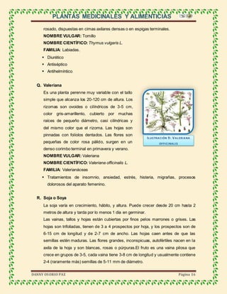 PLANTAS MEDICINALES Y ALIMENTICIAS
DANNY OSORIO PAZ Página 16
rosado, dispuestas en cimas axilares densas o en espigas terminales.
NOMBRE VULGAR: Tomillo
NOMBRE CIENTÍFICO: Thymus vulgaris L.
FAMILIA: Labiadas.
 Diurético
 Antiséptico
 Antihelmíntico
Q. Valeriana
Es una planta perenne muy variable con el tallo
simple que alcanza los 20-120 cm de altura. Los
rizomas son ovoides o cilíndricos de 3-5 cm,
color gris-amarillento, cubierto por muchas
raíces de pequeño diámetro, casi cilíndricas y
del mismo color que el rizoma. Las hojas son
pinnadas con foliolos dentados. Las flores son
pequeñas de color rosa pálido, surgen en un
denso corimbo terminal en primavera y verano.
NOMBRE VULGAR: Valeriana
NOMBRE CIENTÍFICO: Valeriana officinalis L.
FAMILIA: Valerianáceas
 Tratamientos de insomnio, ansiedad, estrés, histeria, migrañas, procesos
dolorosos del aparato femenino.
R. Soja o Soya
La soja varía en crecimiento, hábito, y altura. Puede crecer desde 20 cm hasta 2
metros de altura y tarda por lo menos 1 día en germinar.
Las vainas, tallos y hojas están cubiertas por finos pelos marrones o grises. Las
hojas son trifoliadas, tienen de 3 a 4 prospectos por hoja, y los prospectos son de
6-15 cm de longitud y de 2-7 cm de ancho. Las hojas caen antes de que las
semillas estén maduras. Las flores grandes, inconspicuas, autofértiles nacen en la
axila de la hoja y son blancas, rosas o púrpuras.El fruto es una vaina pilosa que
crece en grupos de 3-5, cada vaina tiene 3-8 cm de longitud y usualmente contiene
2-4 (raramente más) semillas de 5-11 mm de diámetro.
ILUSTRACIÓN 9: VALERIANA
OFFICINALIS
 