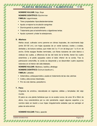 PLANTAS MEDICINALES Y ALIMENTICIAS
DANNY OSORIO PAZ Página 17
NOMBRE VULGAR: Soja, Soya
NOMBRE CIENTÍFICO:Glycine max
FAMILIA: Leguminosas.
 Tiene propiedades hipocolesterolemiantes
 Ayuda a mejorar la circulación sanguínea
 Disminuyendo la presión arterial
 Tratamiento para el estreñimiento o digestiones lentas
 Ayuda a prevenir y tratar la osteoporosis.
S. Albahaca
Hierba anual, cultivada como perenne en climas tropicales, de crecimiento bajo
(entre 30-130 cm), con hojas opuestas de un verde lustroso, ovales u ovadas,
dentadas y de textura sedosa, que miden de 3 a 11 cm de largo por 1 a 6 cm de
ancho. Emite espigas florales terminales, con flores tubulares de color blanco o
violáceo las cuales, a diferencia de las del resto de la familia, tienen los cuatro
estambres y el pistilo apoyados sobre el labio inferior de la corola. Tras la
polinización entomófila, la corola se desprende y se desarrollan cuatro aquenios
redondos en el interior del cáliz bilabiado.
NOMBRE VULGAR: Albahaca, basílica, alhabaga
NOMBRE CIENTÍFICO: Ocimum basilicum L.
FAMILIA: Labiadas
 Antiemética, antiespasmódico, usada en tratamiento de las vías uterinas
 Colitis y afecciones intestinales.
 Por vía oral; diarrea, parasitismo.
T. Paico
Originaria de américa, naturalizada en regiones cálidas y templadas del viejo
mundo.
El paico es una planta herbácea que no se acaba nunca, de unos 30 a 50cm de
altura, muy característica por su olor penetrante. según algunos expertos y su
nombre dado en ilusión a sus hojas irregularmente sedadas que se semejan al
patas de este animal.
NOMBRE VULGAR: Paico, apazote
 