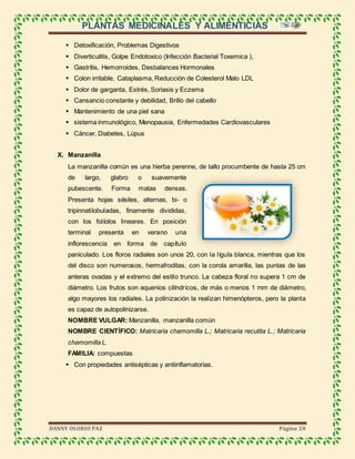 PLANTAS MEDICINALES Y ALIMENTICIAS
DANNY OSORIO PAZ Página 20
 Detoxificación, Problemas Digestivos
 Diverticulitis, Golpe Endotoxico (Infección Bacterial Toxemica ),
 Gastrítis, Hemorroides, Desbalances Hormonales
 Colon irritable, Cataplasma, Reducción de Colesterol Malo LDL
 Dolor de garganta, Estrés, Soriasis y Eczema
 Cansancio constante y debilidad, Brillo del cabello
 Mantenimiento de una piel sana
 sistema inmunológico, Menopausia, Enfermedades Cardiovasculares
 Cáncer, Diabetes, Lúpus
X. Manzanilla
La manzanilla común es una hierba perenne, de tallo procumbente de hasta 25 cm
de largo, glabro o suavemente
pubescente. Forma matas densas.
Presenta hojas sésiles, alternas, bi- o
tripinnatilobuladas, finamente divididas,
con los folíolos lineares. En posición
terminal presenta en verano una
inflorescencia en forma de capítulo
paniculado. Los floros radiales son unos 20, con la lígula blanca, mientras que los
del disco son numerosos, hermafroditas, con la corola amarilla, las puntas de las
anteras ovadas y el extremo del estilo trunco. La cabeza floral no supera 1 cm de
diámetro. Los frutos son aquenios cilíndricos, de más o menos 1 mm de diámetro,
algo mayores los radiales. La polinización la realizan himenópteros, pero la planta
es capaz de autopolinizarse.
NOMBRE VULGAR: Manzanilla, manzanilla común
NOMBRE CIENTÍFICO: Matricaria chamomilla L.; Matricaria recutita L.; Matricaria
chamomilla L.
FAMILIA: compuestas
 Con propiedades antisépticas y antiinflamatorias.
 