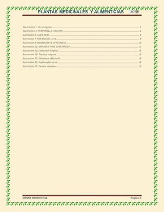 PLANTAS MEDICINALES Y ALIMENTICIAS
DANNY OSORIO PAZ Página 3
Ilustración 1: el eucalyptus ...............................................................................................................................................5
Ilustración 3: PIMPINELLA ANISUM ...............................................................................................................................6
Ilustración 6: ALOE VERA ....................................................................................................................................................8
Ilustración 7: PEAMUS BOLDUS .........................................................................................................................................9
Ilustración 8: ROSMARINUS OFFICINALIS.......................................................................................................................10
Ilustración 11: SMALLANTHUS SONCHIFOLIA................................................................................................................12
Ilustración 13: Cichorium intybus ....................................................................................................................................14
Ilustración 16: Thymus vulgaris .......................................................................................................................................15
Ilustración 17: Valeriana officinalis.................................................................................................................................16
Ilustración 21: Erythoxylon coca......................................................................................................................................18
Ilustración 22: Cynara scolymus ......................................................................................................................................19
 