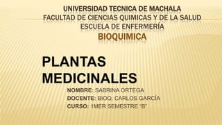 UNIVERSIDAD TECNICA DE MACHALA
FACULTAD DE CIENCIAS QUIMICAS Y DE LA SALUD
ESCUELA DE ENFERMERÍA

BIOQUIMICA

PLANTAS
MEDICINALES
NOMBRE: SABRINA ORTEGA
DOCENTE: BIOQ. CARLOS GARCÍA
CURSO: 1MER SEMESTRE “B”

 