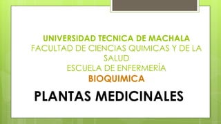 UNIVERSIDAD TECNICA DE MACHALA
FACULTAD DE CIENCIAS QUIMICAS Y DE LA
SALUD
ESCUELA DE ENFERMERÍA

BIOQUIMICA

PLANTAS MEDICINALES

 