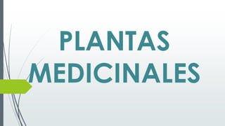 PLANTAS
MEDICINALES

 