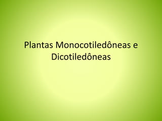 Plantas Monocotiledôneas e 
Dicotiledôneas 
 