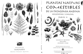 Plantas nativas comestible de la patagonia argentina chilena parte ii