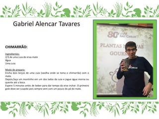 CHIMARRÃO:
Ingredientes:
2/3 de uma cuia de erva-mate
Água
Uma cuia
Modo de preparo:
Encha dois terços de uma cuia (vasilha onde se toma o chimarrão) com o
mate.
Depois,faça um montinho em um dos lados da cuia e jogue água morna ou
quente até a boca.
Espere 5 minutos antes de beber para dar tempo da erva inchar. O primeiro
gole deve ser cuspido pois sempre vem com um pouco do pó do mate.
 