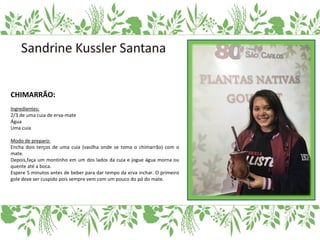 CHIMARRÃO:
Ingredientes:
2/3 de uma cuia de erva-mate
Água
Uma cuia
Modo de preparo:
Encha dois terços de uma cuia (vasilha onde se toma o chimarrão) com o
mate.
Depois,faça um montinho em um dos lados da cuia e jogue água morna ou
quente até a boca.
Espere 5 minutos antes de beber para dar tempo da erva inchar. O primeiro
gole deve ser cuspido pois sempre vem com um pouco do pó do mate.
 
