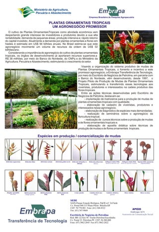 Ministério da Agricultura,
Pecuária e Abastecimento Em pabra
Empresa Brasileira de Pesquisa Agropecuária
PLANTAS ORNAMENTAIS TROPICAIS
UM AGRONEGÓCIO PROMISSOR
O cultivo de Plantas OrnamentaisTropicais como atividade econômica vem
despertando grande interesse de investidores e produtores devido a sua alta
rentabilidade; demanda de pequenas áreas; produção intensiva e; rápido retorno
do capital investido. Atualmente a demanda por plantas ornamentais e flores em
hastes é estimada em US$ 94 bilhões anuais. No Brasil estima-se que este
agronegócio movimente um volume de recursos da ordem de US$ 02
bilhões/ano.
Considerando a importância do agronegócio do cultivo de plantas ornamentais
tropicais, os órgãos de desenvolvimento já aportaram recursos superiores a
R$ 38 milhões, por meio do Banco do Nordeste, do CNPq e do Ministério da
Agricultura, Pecuária e Abastecimento, estimulando o crescimento do setor.
Visando a organização do sistema produtivo de mudas de
Plantas Ornamentais Tropicais, o fomento e incentivo a este
promissor agronegócio, a Embrapa Transferência de Tecnologia,
por meio do Escritório de Negócios de Petrolina, em parceria com
o Banco do Nordeste, vêm desenvolvendo, desde 1997, o
Projeto Piloto de Produção de Mudas de Plantas Ornamentais
Tropicais, estimulando e transferindo essas tecnologias aos
viveiristas, produtores e interessados na cadeia produtiva das
flores tropicais.
Entre as ações técnicas desenvolvidas pelo Escritório de
Negócios de Petrolina, destacam-se:
- implantação de matrizeiros para a produção de mudas de
plantas ornamentais tropicais com qualidade;
- elaboração de cadastro de viveiristas, produtores e
interessados nesse agronegócio;
- elaboração de diagnóstico de espécies mais demandadas;
- realização de seminários sobre o agronegócio da
floricultura tropical;
- realização de cursos técnicos sobre a produção de mudas
e de flores ornamentais tropicais e;
- elaboração de apostila didática sobre técnicas de
produção de mudas e de flores ornamentais tropicais.
Espécies em produção / comercialização de mudas
Helicônia wagneriana Helicônia rostrata
Zingiber spectabilis
(Sorvete).
Alpinia purpurata
Pink
Alpinia purpurata
Red
Etilingera elaitor Red
(Bastão-do-imperador vermelho)
Etilingera elaitor Pink
(Bastão-do-imperador rosa)
Helicônia golden torch Tapeinochilus ananassae
(Tapeinochilus).
Musa velutinaAlpinia purpurata
(Jungle queen).
Helicônia bihai Heliconia latispatha cv.
Distans
Calathea burle max
(blue).
Costus spiralis. Calathea cilindrica
(green).
Heliconia psitacorum
(Sassy).
Musa coccinea.
Em pabra
Transferência de Tecnologia
SEDE
SAIN-Parque Estação Biológica, PqEB s/nº. Ed Sede
Cx. Postal 040.315 Plano Piloto Brasília-DF
CEP: 70.770-901 Fone: (61) 348-4522
Fax: (61) 347-9668
Escritório de Negócios de Petrolina
Rod. BR 122 Km 50 Trecho Petrolina/Izacolândia.
Cx. Postal 23 Petrolina-PE CEP: 56.300-000
Fone: (87) 3862-2845 Fax (87) 3862-2022
APOIO
Embrapa ACS
Assessoria de Comunicação Social
 