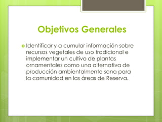 Objetivos Generales
 Identificary a cumular información sobre
  recursos vegetales de uso tradicional e
  implementar un cultivo de plantas
  ornamentales como una alternativa de
  producción ambientalmente sana para
  la comunidad en las áreas de Reserva.
 