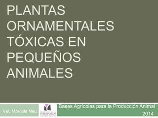 PLANTAS 
ORNAMENTALES 
TÓXICAS EN 
PEQUEÑOS 
ANIMALES 
Bases Agrícolas para la Producción Animal 
Vet. Marcela Neu 2014 
 