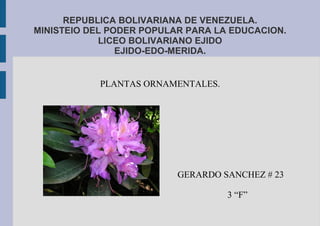 REPUBLICA BOLIVARIANA DE VENEZUELA.
MINISTEIO DEL PODER POPULAR PARA LA EDUCACION.
LICEO BOLIVARIANO EJIDO
EJIDO-EDO-MERIDA.
PLANTAS ORNAMENTALES.
GERARDO SANCHEZ # 23
3 “F”
 