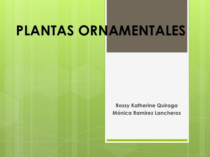 PLANTAS ORNAMENTALES Rossy Katherine Quiroga Mónica Ramírez PLANTAS ORNAMENTALES Rossy Katherine Quiroga Mónica Ramírez