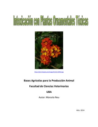 http://cdn1.freepik.com/image/th/121-64410.jpg 
Bases Agrícolas para la Producción Animal 
Facultad de Ciencias Veterinarias 
UBA 
Autor: Marcela Neu 
Año: 2014 
 