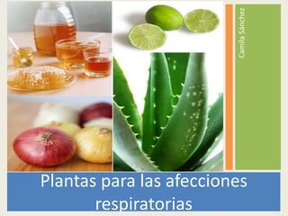 Plantas para las afecciones
respiratorias
CamilaSánchez
 