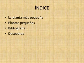 ÍNDICE
• La planta más pequeña
• Plantas pequeñas
• Bibliografía
• Despedida