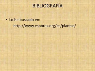 BIBLIOGRAFÍA
• Lo he buscado en:
http://www.espores.org/es/plantas/