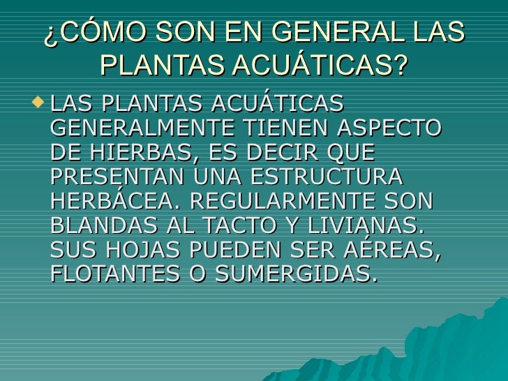 Plantas Terrestres Y Acuaticas