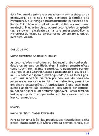  
Esta flor, que é a primeira a desabrochar com a chegada da
primavera, daí o seu nome, pertence à família das
Primuláceas, que abriga aproximadamente 50 espécies dis-
tintas. É também uma planta muito utilizada como orna-
mentação. Mas, além disso, possui propriedades terapêuti-
cas, sendo um excelente calmante e antiespasmódico. A
Primavera às vezes se apresenta na cor amarela, outras
num tom violeta.
 
 
 
SABUGUEIRO
 
Nome científico: Sambucus Ebulus
 
As propriedades medicinais do Sabugueiro são conhecidas
desde os tempos de Hipócrates. É extremamente eficaz
como sudorífero, laxante e diurético. 0 Sabugueiro perten-
ce à família das Caprifolináceas e pode atingir a altura de 4
m. Sua casca é áspera e esbranquiçada e suas folhas pos-
suem uma superfície marcada por nervuras. As flores são
pequenas e brancas e também hermafroditas, possuindo
um cheiro desagradável. A curiosidade é que esse odor,
quando as flores são dessecadas, desaparece por comple-
to, dando origem a um perfume agradável. Possui também
frutos, que podem se apresentar em duas cores: roxo ou
branco esverdeado.
 
 
SÁLVIA
 
Nome científico: Sálvia Officinalis
 
Para se ter uma idéia das propriedades terapêuticas desta
planta, basta saber que Sálvia vem da palavra salvus, que



                                                          16
 