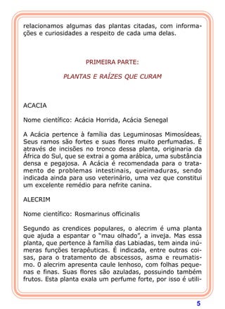 relacionamos algumas das plantas citadas, com informa-
ções e curiosidades a respeito de cada uma delas.
 
                                
                                
                      PRIMEIRA PARTE:
                                
              PLANTAS E RAÍZES QUE CURAM
                                
                                
                                
ACACIA
 
Nome científico: Acácia Horrida, Acácia Senegal
 
A Acácia pertence à família das Leguminosas Mimosídeas.
Seus ramos são fortes e suas flores muito perfumadas. É
através de incisões no tronco dessa planta, originaria da
África do Sul, que se extrai a goma arábica, uma substância
densa e pegajosa. A Acácia é recomendada para o trata-
mento de problemas intestinais, queimaduras, sendo
indicada ainda para uso veterinário, uma vez que constitui
um excelente remédio para nefrite canina.
 
ALECRIM
 
Nome científico: Rosmarinus officinalis
 
Segundo as crendices populares, o alecrim é uma planta
que ajuda a espantar o “mau olhado”, a inveja. Mas essa
planta, que pertence à família das Labiadas, tem ainda inú-
meras funções terapêuticas. É indicada, entre outras coi-
sas, para o tratamento de abscessos, asma e reumatis-
mo. 0 alecrim apresenta caule lenhoso, com folhas peque-
nas e finas. Suas flores são azuladas, possuindo também
frutos. Esta planta exala um perfume forte, por isso é utili-



                                                           5
 