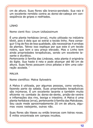cm de altura. Suas flores são branco-perolado. Sua raiz é
um excelente remédio contra as dores-de-cabeça em con-
seqüência de gripes e resfriados.
 
 
LINHO
 
Nome cienti fico: Linum Usítaüssimum
 
É uma planta herbácea (erva), muito utilizada na indústria
têxtil, pois é dela que se extrai o tecido linho. Para conse-
guir 5 kg de fios de boa qualidade, são necessárias 4 arrobas
da plantas. Talvez isso explique por que este é um tecido
nobre, que tem o seu preço elevado. Mas o Linho tem
ainda propriedades terapêuticas, sendo um excelente la-
xante e diurético.
Pertencente à família das Lináceas, esta planta é originária
do Egito. Sua haste é reta e pode alcançar até 80 cm de
altura. Suas flores possuem cinco pétalas e têm uma colo-
ração azulada. ‘
 
MALVA
 
Nome científico: Malva Sylvestris
 
A Malva é utilizada, por algumas pessoas, como verdura,
fazendo parte da salada. Suas propriedades terapêuticas
são inúmeras. É um excelente laxante e também muito
eficiente no combate às dores-de-dente, prisão-de-ventre
e inflamações dos rins, bexiga e intestino. A Malva é uma
planta herbácea (erva), pertencente à família das Malváceas.
Seu caule mede aproximadamente 20 cm de altura, algu-
mas vezes rastejante, outras não.
 
Suas flores são lilases ou então brancas com listras roxas.
É milito encontrada em campos incultos.



                                                          12
 