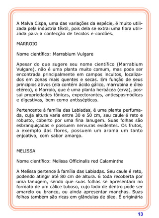 
A Malva Cispa, uma das variações da espécie, é muito utili-
zada pela indústria têxtil, pois dela se extrai uma fibra utili-
zada para a confecção de tecidos e cordões.
 
MARROIO
 
Nome científico: Marrabium Vulgare
 
Apesar do que sugere seu nome científico (Marrabium
Vulgare), não é uma planta muito comum, mas pode ser
encontrada principalmente em campos incultos, localiza-
dos em zonas mais quentes e secas. Em função de seus
principios ativos (ela contém ácido gálico, marrubina e óleo
etéreo), o Marroio, que é uma planta herbácea (erva), pos-
sui propriedades tônicas, expectorantes, antiespasmódicas
e digestivas, bem como antissépticas.
 
Pertencente à família das Labiadas, é uma planta perfuma-
da, cuja altura varia entre 30 e 50 cm, seu caule é reto e
robusto, coberto por uma fina lanugem. Suas folhas são
esbranquiçadas e possuem nervuras evidentes. Os frutos,
a exemplo das flores, possuem um aroma um tanto
enjoativo, com sabor amargo.
 
 
MELISSA
 
Nome científico: Melissa Officinalis red Calamintha
 
A Melíssa pertence à família das Labiadas. Seu caule é reto,
podendo atingir até 80 cm de altura. É toda recoberta por
uma lanugem, sendo que suas folhas se apresentam no
formato de um cálice tuboso, cujo lado de dentro pode ser
amarelo ou branco, ou ainda apresentar manchas. Suas
folhas também são ricas em glândulas de óleo. É originária



                                                             13
 