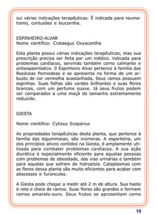 sui várias indicações terapêuticas. É indicada para reuma-tismo, 
10 
contusões e leucorréia. 
   
ESPINHEIRO-ALVAR 
Nome científico: Crataegus Oxyacantha 
  
Esta planta possui várias indicações terapêuticas, mas sua 
prescrição precisa ser feita por um médico. indicada para 
problemas cardíacos, servindo também como calmante e 
antiespasmódico. 0 Espinheiro Alvar pertence à família das 
Rosáceas Pomoideas e se apresenta na forma de um ar-busto 
de cor vermelha acastanhada, Seus ramos possuem 
espinhos. Suas folhas são verdes brilhantes e suas flores 
brancas, com um perfume suave. Já seus frutos podem 
ser comparados a uma maçã de tamanho extremamente 
reduzido. 
   
GIESTA 
  
Nome científico: Cytisus Scoparius 
  
As propriedades terapêuticas desta planta, que pertence à 
família das leguminosas, são inúmeras. A esparteína, um 
dos princípios ativos contidos na Giesta, é amplamente uti-lizada 
para combater problemas cardíacos. A sua ação 
diurética é especialmente eficiente para aquelas pessoas 
com problemas de obesidade, das vias urinárias e também 
para aquelas que sofrem de hidropisia. Cataplasmas com 
as flores dessa planta são muito eficientes para acabar com 
abscessos e furúnculos. 
  
A Giesta pode chegar a medir até 2 m de altura. Sua haste 
é reta e cheia de ramos. Suas flores são grandes e formam 
ramos amarelo-ouro. Seus frutos se apresentam como 
 