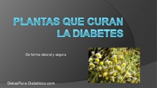 De forma natural y segura
DietasPara-Diabeticos.com
 