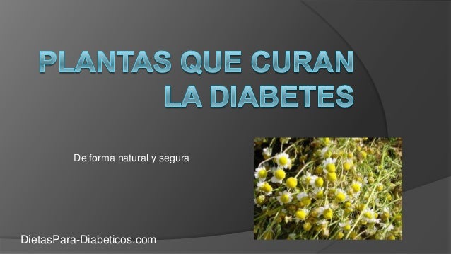 Las hierbas aplicado para el tratamiento del alcoholismo