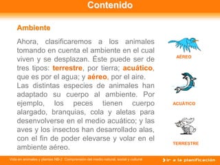 Contenido

    Ambiente
    Ahora, clasificaremos a los animales
    tomando en cuenta el ambiente en el cual
                                                                                    AÉREO
    viven y se desplazan. Éste puede ser de
    tres tipos: terrestre, por tierra; acuático,
    que es por el agua; y aéreo, por el aire.
    Las distintas especies de animales han
    adaptado su cuerpo al ambiente. Por
    ejemplo, los peces tienen cuerpo                                               ACUÁTICO

    alargado, branquias, cola y aletas para
    desenvolverse en el medio acuático; y las
    aves y los insectos han desarrollado alas,
    con el fin de poder elevarse y volar en el
                                                                                   TERRESTRE
    ambiente aéreo.
Vida en animales y plantas NB-2 Comprensión del medio natural, social y cultural
 