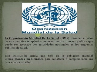 La Organización Mundial De La Salud (OMS) reconoce el valor
de esta práctica terapéutica como un recurso inocuo y eficaz que
puede ser aceptado por autoridades nacionales en los esquemas
públicos de salud.
Esta institución señala que 80% de la población mundial
utiliza plantas medicinales para satisfacer o complementar sus
necesidades de salud.
 