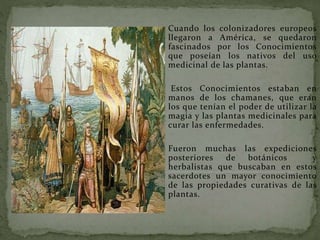 Cuando los colonizadores europeos
llegaron a América, se quedaron
fascinados por los Conocimientos
que poseían los nativos del uso
medicinal de las plantas.
Estos Conocimientos estaban en
manos de los chamanes, que eran
los que tenían el poder de utilizar la
magia y las plantas medicinales para
curar las enfermedades.
Fueron muchas las expediciones
posteriores de botánicos y
herbalistas que buscaban en estos
sacerdotes un mayor conocimiento
de las propiedades curativas de las
plantas.
 