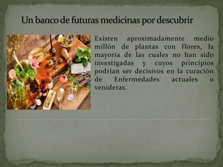 Existen aproximadamente medio
millón de plantas con flores, la
mayoría de las cuales no han sido
investigadas y cuyos principios
podrían ser decisivos en la curación
de Enfermedades actuales o
venideras.
 