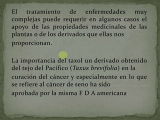 El tratamiento de enfermedades muy
complejas puede requerir en algunos casos el
apoyo de las propiedades medicinales de las
plantas o de los derivados que ellas nos
proporcionan.
La importancia del taxol un derivado obtenido
del tejo del Pacífico (Taxus brevifolia) en la
curación del cáncer y especialmente en lo que
se refiere al cáncer de seno ha sido
aprobada por la misma F D A americana.
 
