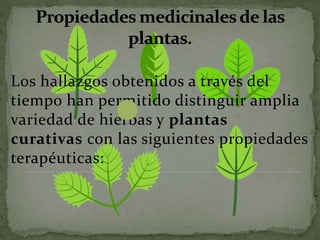 Los hallazgos obtenidos a través del
tiempo han permitido distinguir amplia
variedad de hierbas y plantas
curativas con las siguientes propiedades
terapéuticas:
 