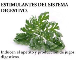 Inducen el apetito y producción de jugos
digestivos.
 