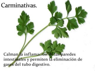 Calman la inflamación de las paredes
intestinales y permiten la eliminación de
gases del tubo digestivo.
 