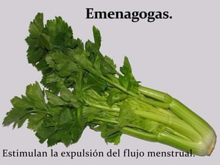 Estimulan la expulsión del flujo menstrual.
 
