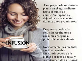 Para prepararla se vierte la
planta en el agua caliente
hasta el punto de
ebullición, tapando y
dejando en maceración
durante unos 3-5 minutos.
Después se cuela y la
solución resultante se
consume enseguida,
preferiblemente caliente.
Normalmente, las medidas
a utilizar son de 1
cucharada sopera de la
planta por taza de agua, y
se consumen de 2 a 3 tazas
 