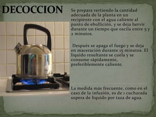 Se prepara vertiendo la cantidad
adecuada de la planta en un
recipiente con el agua caliente al
punto de ebullición, y se deja hervir
durante un tiempo que oscila entre 5 y
2 minutos.
Después se apaga el fuego y se deja
en maceración durante 15 minutos. El
líquido resultante se cuela y se
consume rápidamente,
preferiblemente caliente.
La medida más frecuente, como en el
caso de la infusión, es de 1 cucharada
sopera de liquido por taza de agua.
 