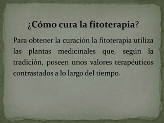 ¿Cómo cura la fitoterapia?
Para obtener la curación la fitoterapia utiliza
las plantas medicinales que, según la
tradición, poseen unos valores terapéuticos
contrastados a lo largo del tiempo.
 