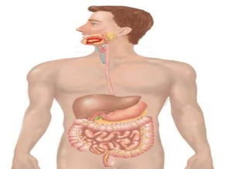 También se pueden dañar otros
órganos o funciones del cuerpo
humano, o provocar reacciones
alérgicas u otros efectos secundarios
como la aparición de efecto rebote –
recrudecimiento de los síntomas al
dejar de tomar el medicamento-, el
desarrollo de resistencias –el
medicamento deja de hacer efecto y
son necesarias dosis más altas-, o la
provocación de adicción.
 