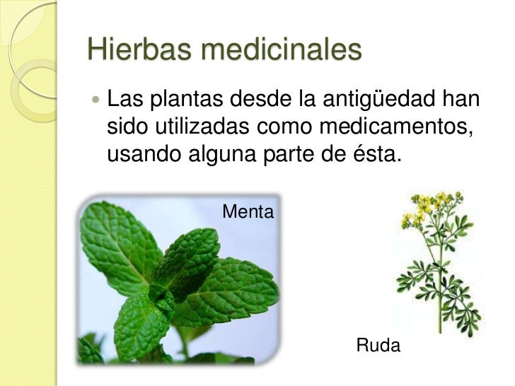 según su uso 3 1 plantas según su uso br según su uso 3 1 plantas según su uso br